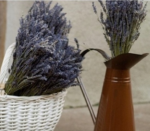 Large provence lavender bunch - large,