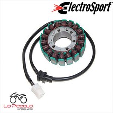 ELECTROSPORT MAGNET FLYWHEEL