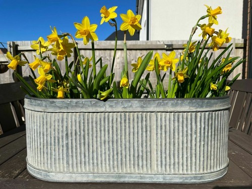 Galvanised zinc ribbed metal - galvanised,