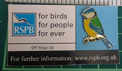 Blue tit rspb bird - tit, enamel