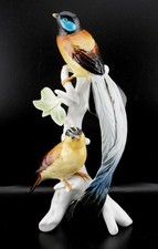 Beautiful and Rare Large