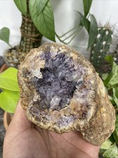 Unique 366G Amethyst Geode