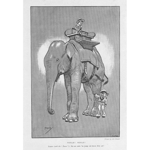 Tickle elephants - tickle!,