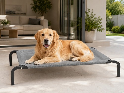 New bunty raised dog bed - new,