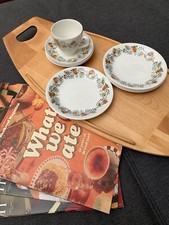 Retro Broadhurst Ironstone