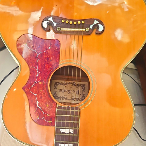 Pro martin 50n - pro-martin, jumbo