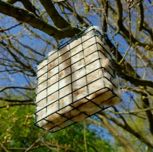 Alpaca bird nesting material - alpaca,