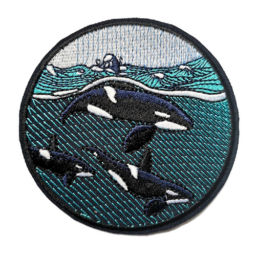 Orca killer whale - killer,