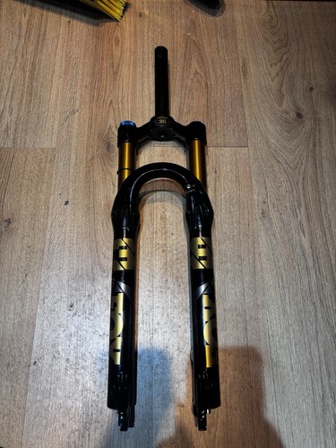 Kashima gold suspension - kashima,