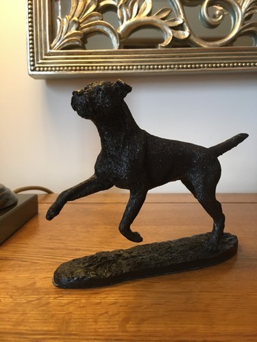Border terrier leaping - leaping,