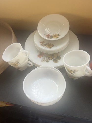 Piece pyrex autumn glory - 16,