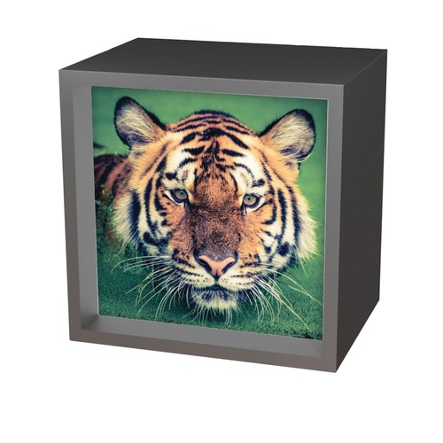 Tiger light box art - light, up