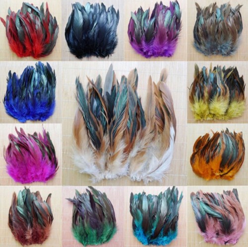 Rooster tail feathers - tail, many