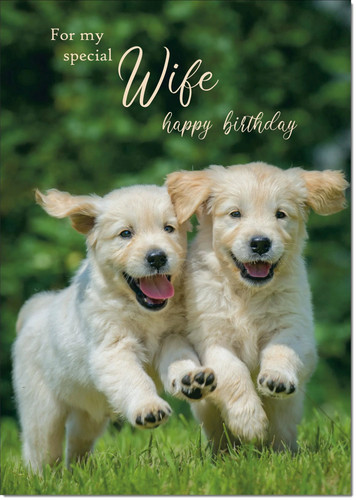 Doodlecards wife birthday card - doodlecards,
