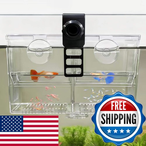 Baozqua bz101001 dual chamber - baozqua, dual-chamber