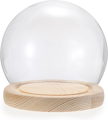 Glass globe display - globe,