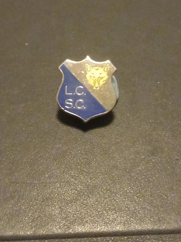 Leicester city pin - leicester,