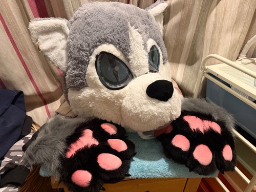 Wolf fursuit head and paws - and,