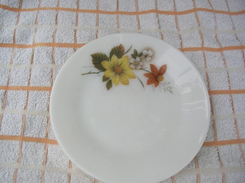 Vintage retro pyrex - retro, autumn