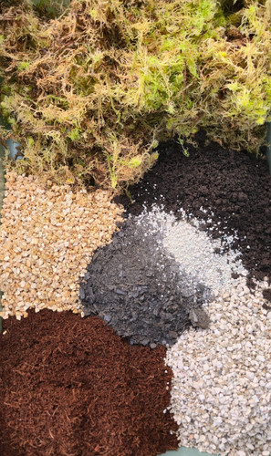 Propagation mix sphagnum moss - propagation,