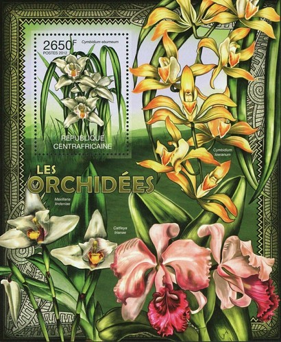 Orchid stamp cymbidium - orchid,