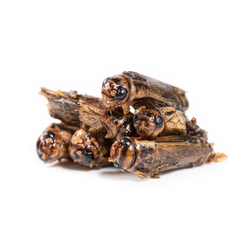 Ants candy ant snack - ants,