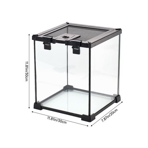 Glass reptile terrarium - glass,