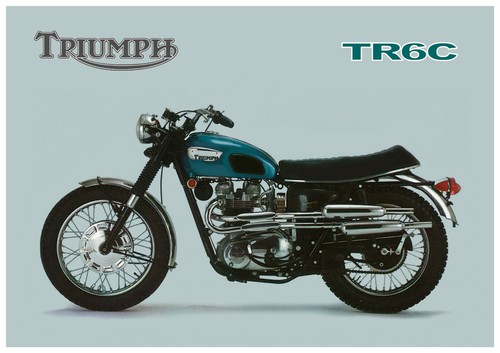 Triumph poster tr6 tiger - tr6,