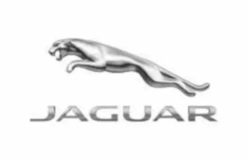 Genuine jaguar pace - f-pace, i-pace