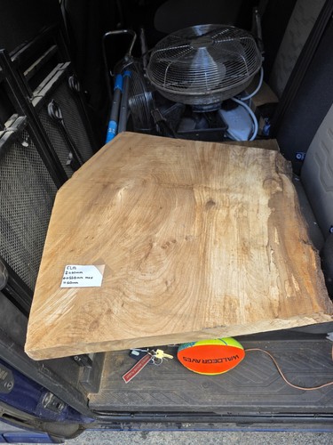 Elm live edge - wood, board