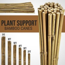 2FT 3FT 4FT 5FT 6FT Bamboo