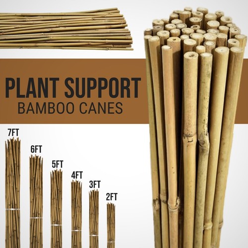 2ft 3ft 4ft - 5ft, bamboo
