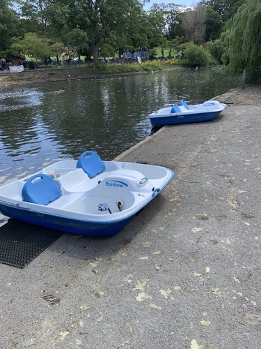 Pedalo pedal boat - boat, pelican