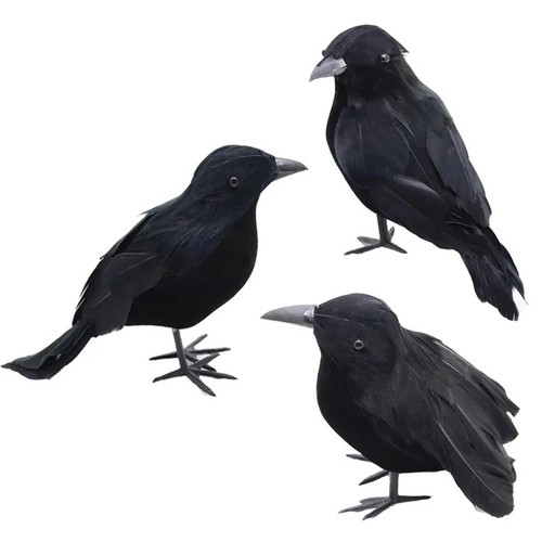 Realistic black feathered - realistic,
