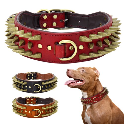 Spiked studded pet dog - pet, collar