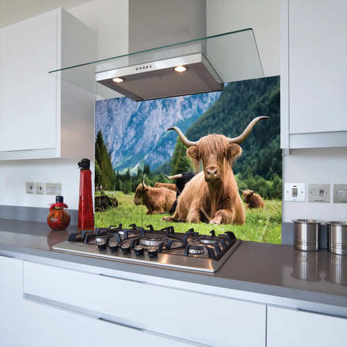 Cows mountains toughened - in,