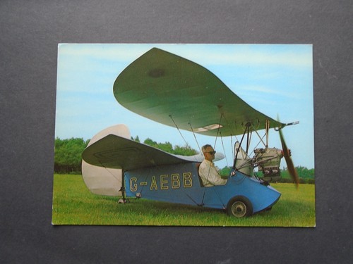 The flying flea 1933 build - -,