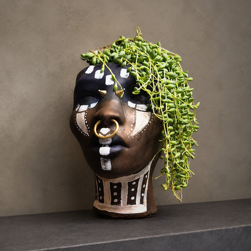 African head planter - african,