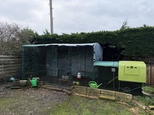 Omlet Eglu Cube MK1 with walk