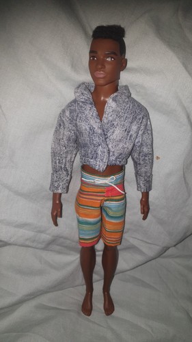 Barbie ken doll ethnic - barbie, (steve)