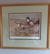 Vintage Framed Colour Print Of