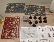 Brettonian Blood Bowl Team