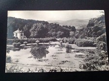 unused Welsh vintage Postcard