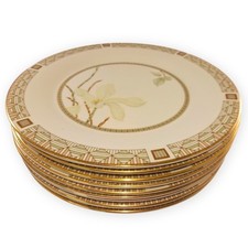 Royal Doulton TC1122 White