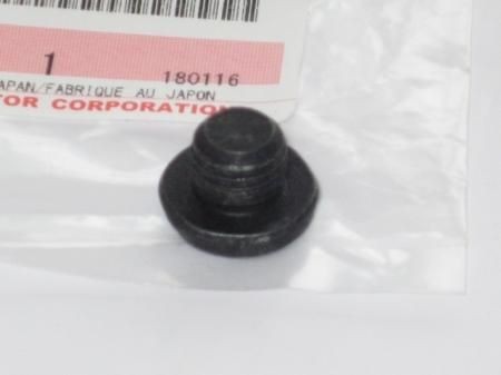 Suzuki outboard motor plug
