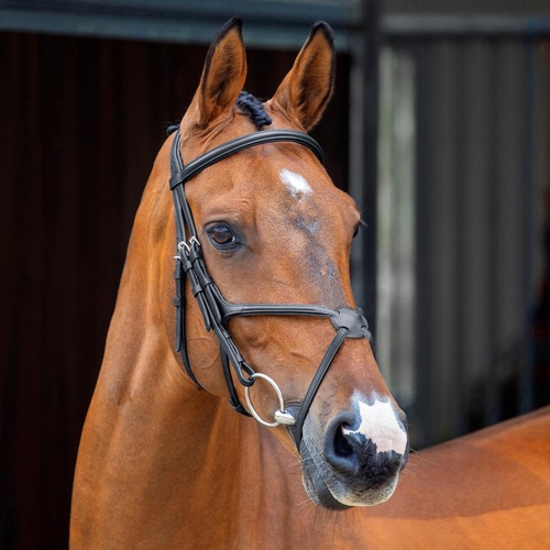 Shires lusso grackle bridle - shires,