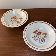 Royal Doulton Chilled flower