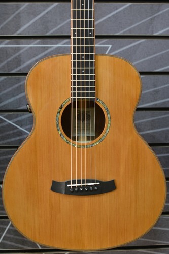 Tanglewood trs1e smart series - smart,
