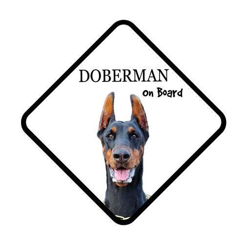 Doberman dog board car - doberman,