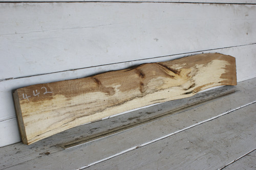 Spalted beech hardwood 1167 - 1167, l